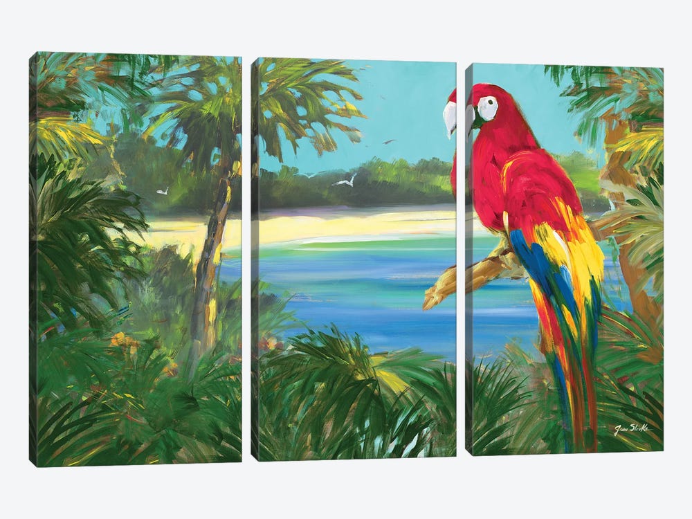 Parrot By The Ocean by Jane Slivka 3-piece Art Print