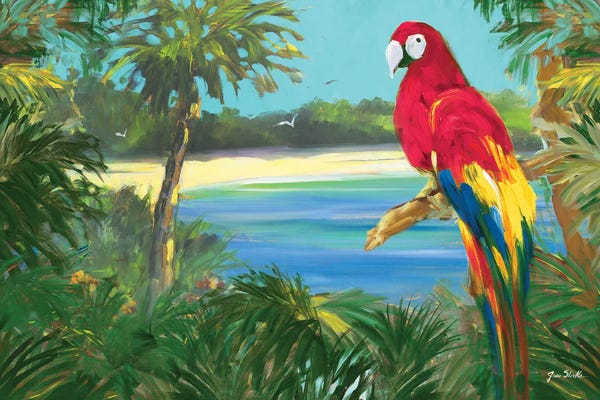 Parrots: Parrot By The Ocean by Jane Slivka