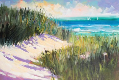 Seagrass Shore by Jane Slivka acrylic art print