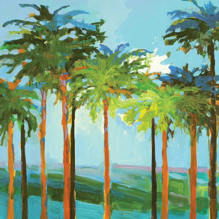 Sunny Palm Trees