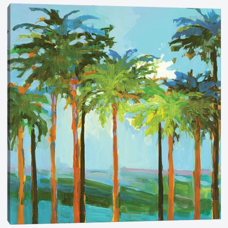 Sunny Palm Trees Canvas Print #JSL138} by Jane Slivka Canvas Art Print