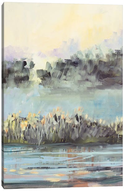 Swamp View Canvas Art Print - Marsh & Swamp Art