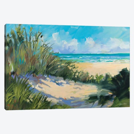 Beach Dunes Canvas Print #JSL141} by Jane Slivka Canvas Artwork