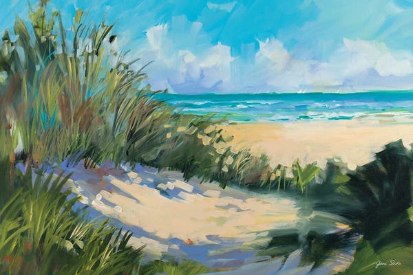 Coastal Sand Dunes: Beach Dunes by Jane Slivka