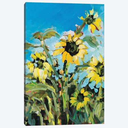 Sunflowers II Canvas Print #JSL148} by Jane Slivka Canvas Art