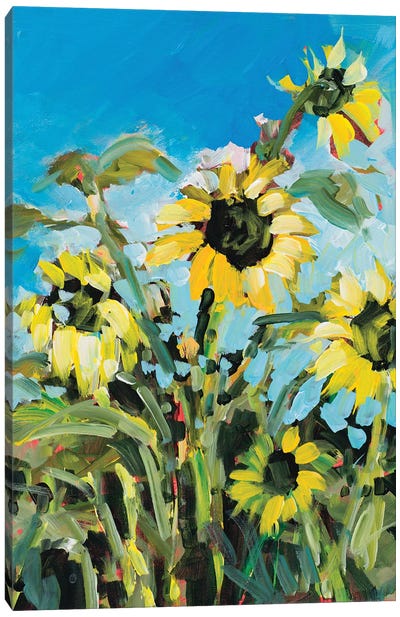 Sunflowers II Canvas Art Print