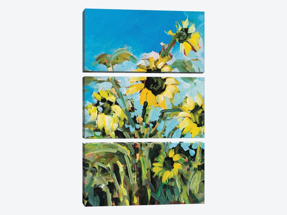 Sunflowers II by Jane Slivka 3-piece Canvas Artwork