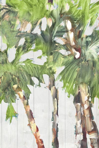 Caribbean Palm Trees I