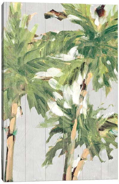 Caribbean Palm Trees Canvas Art Print - Tropical Beach Art