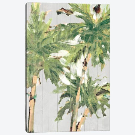 Caribbean Palm Trees Canvas Print #JSL15} by Jane Slivka Canvas Print