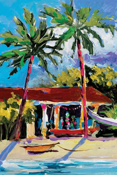 Caribbean Shore by Jane Slivka acrylic art print