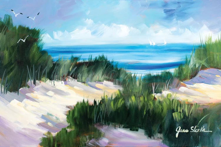 Dune Shoreside by Jane Slivka wall art