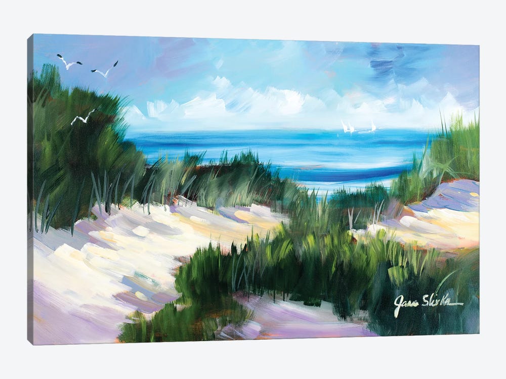 Dune Shoreside by Jane Slivka 1-piece Canvas Wall Art