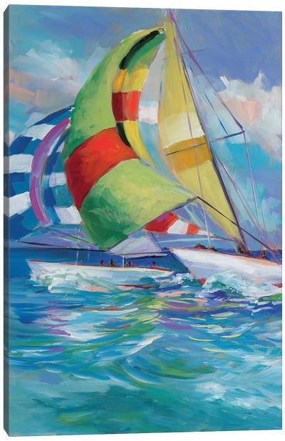 Full Sail I Canvas Art Print