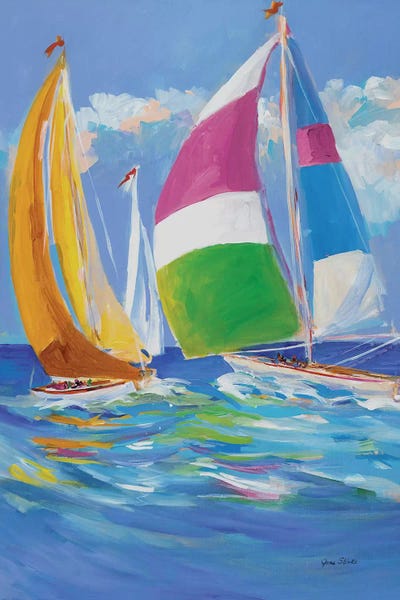 SunDance Group: Full Sail II by Jane Slivka