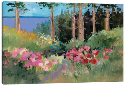 Northern Summer Canvas Art Print