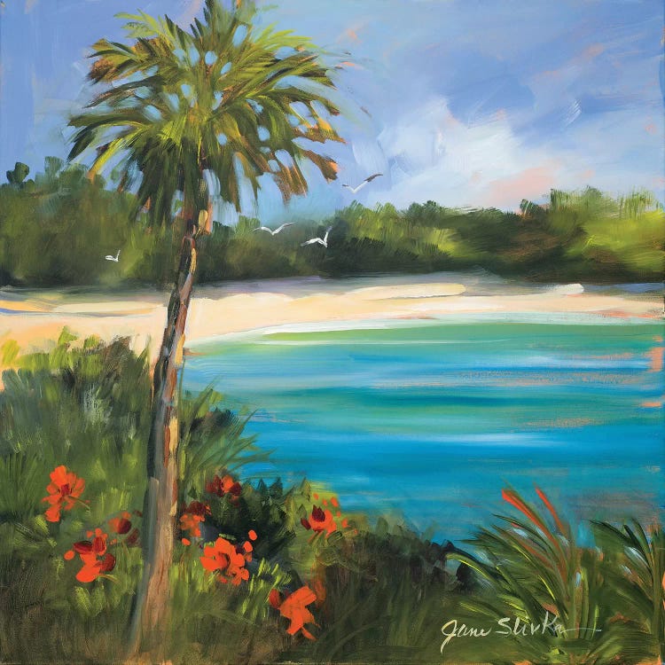 Palm Isle by Jane Slivka wall art