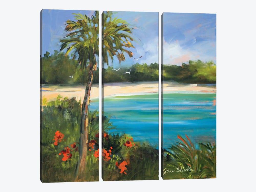 Palm Isle by Jane Slivka 3-piece Canvas Print