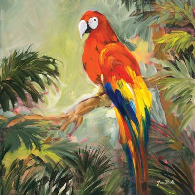 Parrots at Bay I by Jane Slivka art print