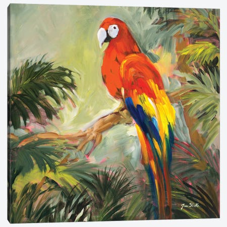 Parrots at Bay I Canvas Print #JSL50} by Jane Slivka Canvas Art