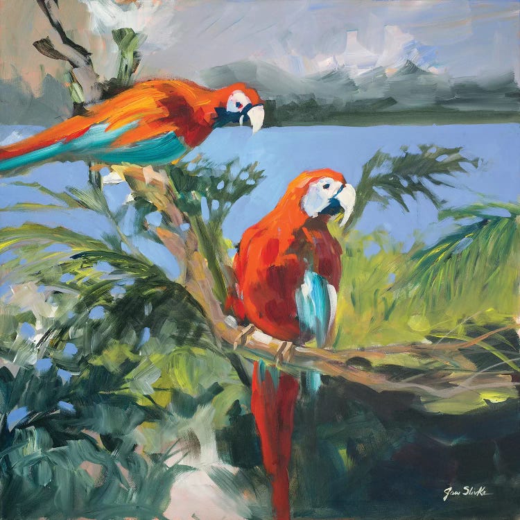 Parrots at Bay II