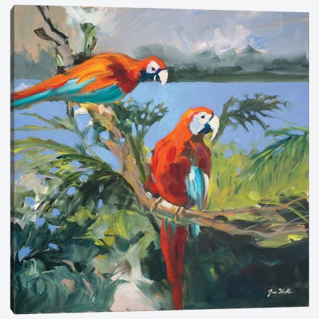 Parrots at Bay II Canvas Print #JSL51} by Jane Slivka Canvas Art