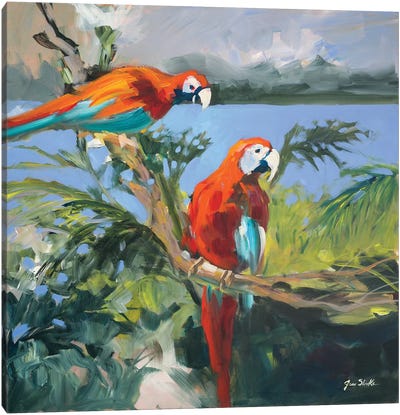 Parrots at Bay II Canvas Art Print