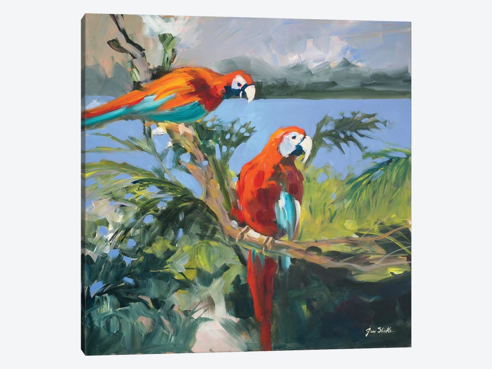 Parrots at Bay II by Jane Slivka 1-piece Canvas Art Print
