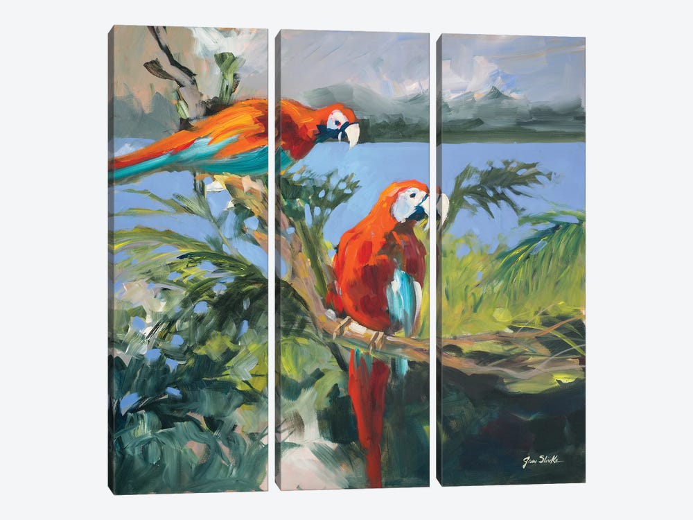 Parrots at Bay II by Jane Slivka 3-piece Canvas Print