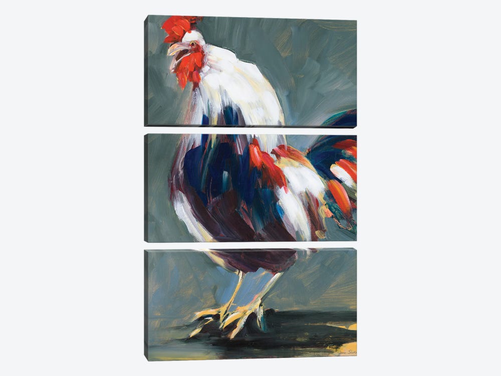 Rising Rooster by Jane Slivka 3-piece Canvas Art