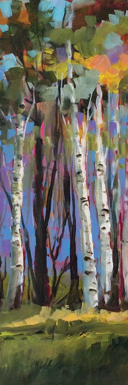 Birch Trees