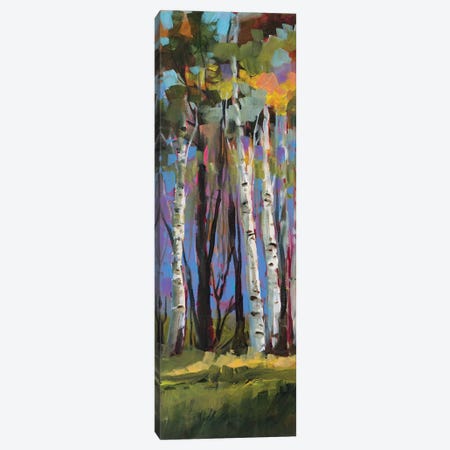 Birch Trees Canvas Print #JSL8} by Jane Slivka Canvas Artwork