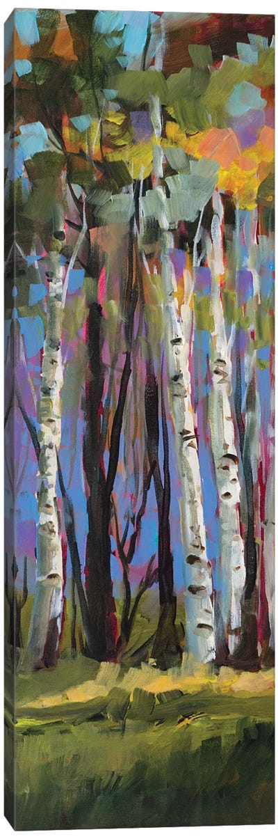 Birch Trees Canvas Art Print