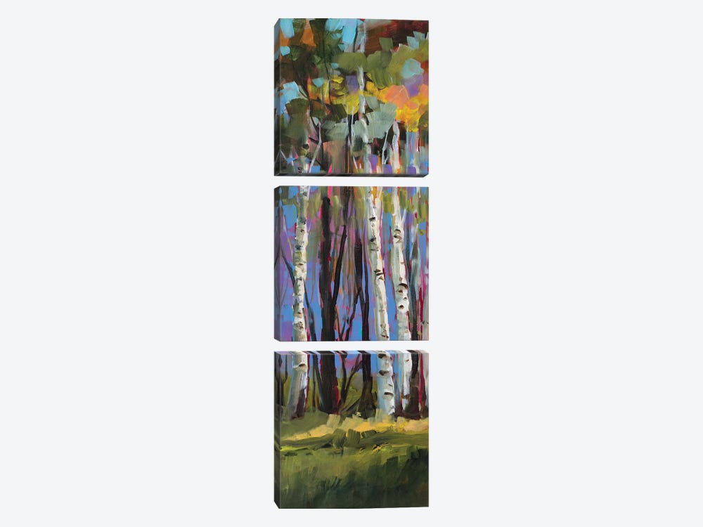 Birch Trees by Jane Slivka 3-piece Canvas Print
