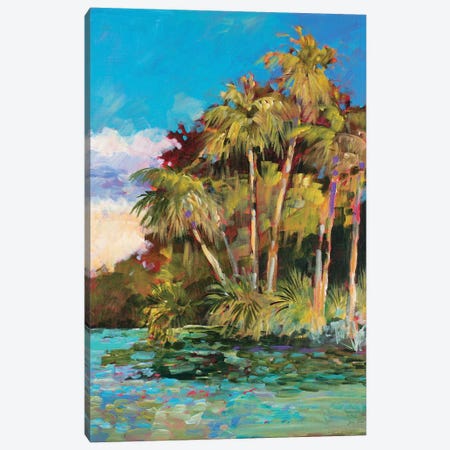 Tropical Side of Town Canvas Print #JSL94} by Jane Slivka Canvas Print