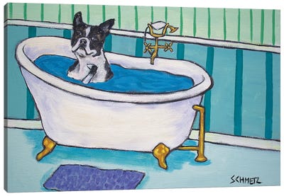 Boston Terrier Bath Canvas Art Print - Bathroom Break