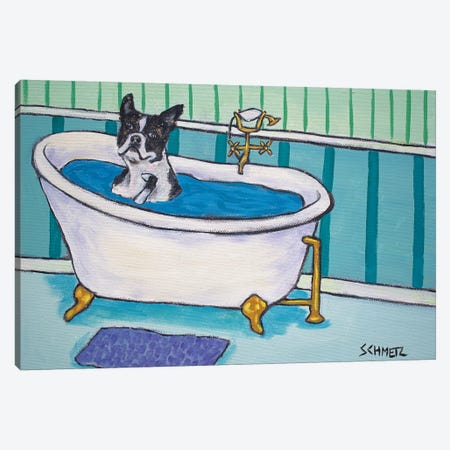 Boston Terrier Bath Canvas Print #JSM11} by Jay Schmetz Canvas Print