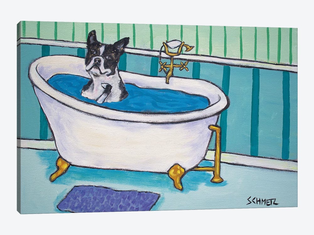 Boston Terrier Bath by Jay Schmetz 1-piece Canvas Artwork