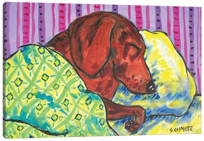 Dachshund Sleeping Canvas Art Print - Jay Schmetz