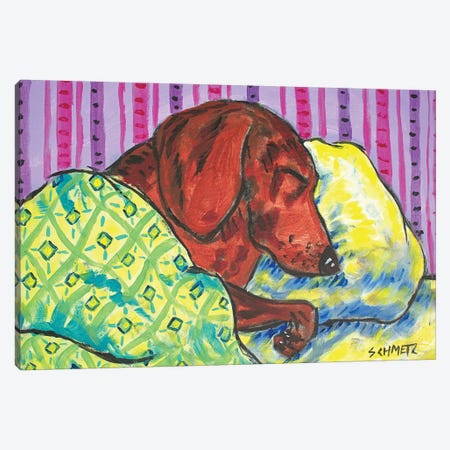 Dachshund Sleeping Canvas Print #JSM25} by Jay Schmetz Canvas Print