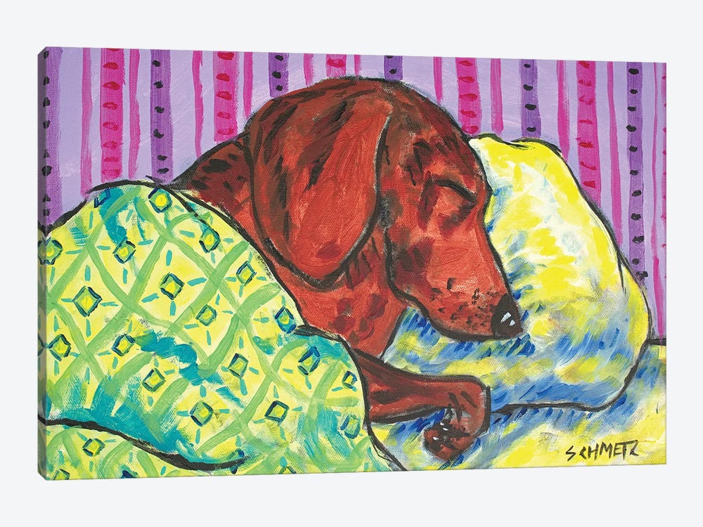 Dachshund Sleeping by Jay Schmetz 1-piece Art Print