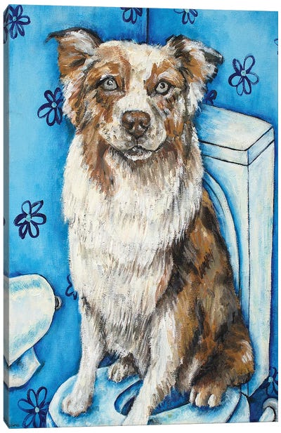 Australian Shepherd #2 Canvas Art Print