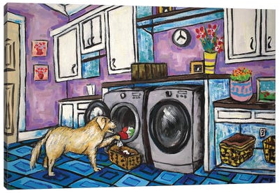 Golden Retriever Laundry Canvas Art Print - Jay Schmetz