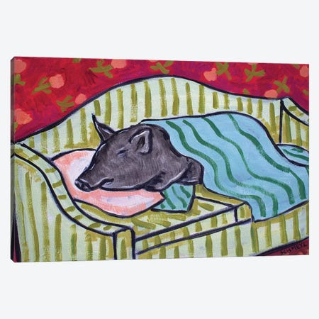 Pot Belly Pig Nap On Couch Canvas Print #JSM51} by Jay Schmetz Art Print