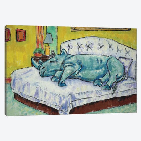 Rhino Sleeping Canvas Print #JSM60} by Jay Schmetz Canvas Wall Art