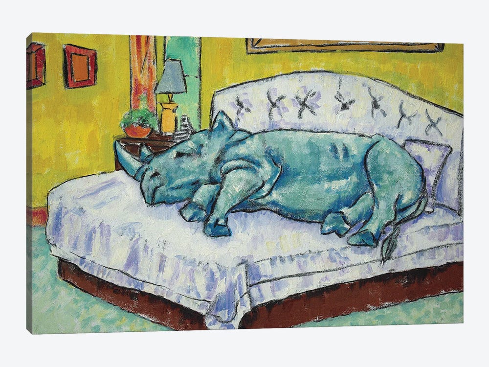 Rhino Sleeping by Jay Schmetz 1-piece Canvas Art