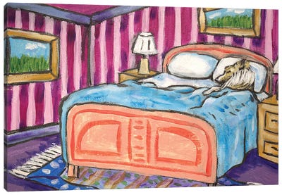 Shetland Sheepdog Sleeping Canvas Art Print