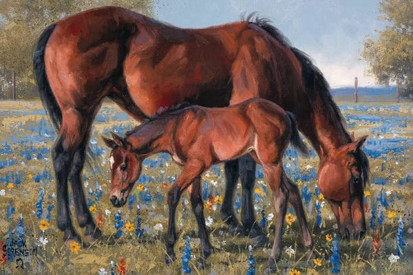 Baby Animals: Wildflower by Jack Sorenson