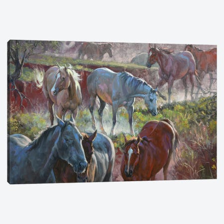 Greener Pastures Canvas Print #JSO14} by Jack Sorenson Canvas Wall Art