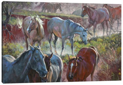 Greener Pastures Canvas Art Print - Jack Sorenson